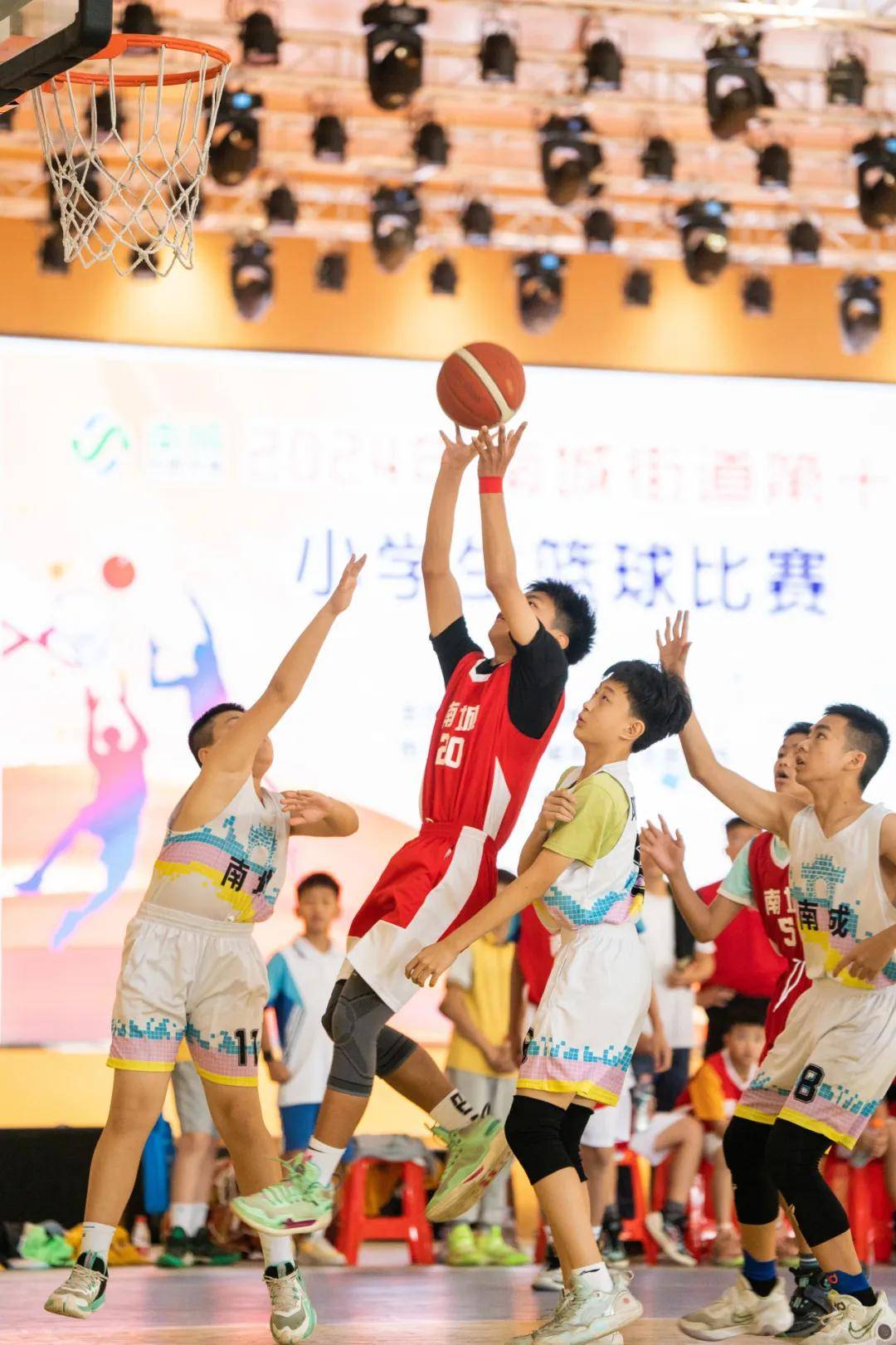 篮球职业联赛年度评选揭晓，多位球员获奖的简单介绍